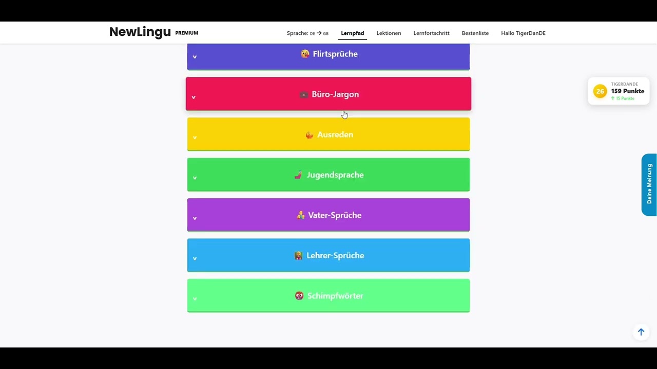 NewLingu in 60 Sekunden: Alle Funktionen kurz erklärt